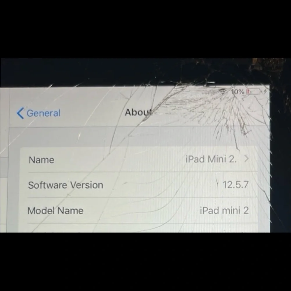 Apple iPad Mini 2